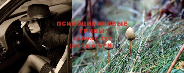скорость mdpv Абаза