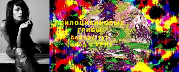 стафф Алексеевка